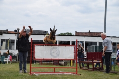 Ring-wedstrijd-2017-199