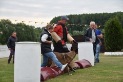 Ring-wedstrijd-2017-46