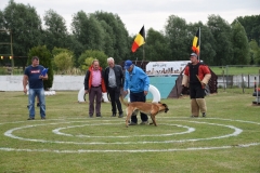 Ring-wedstrijd-2017-74